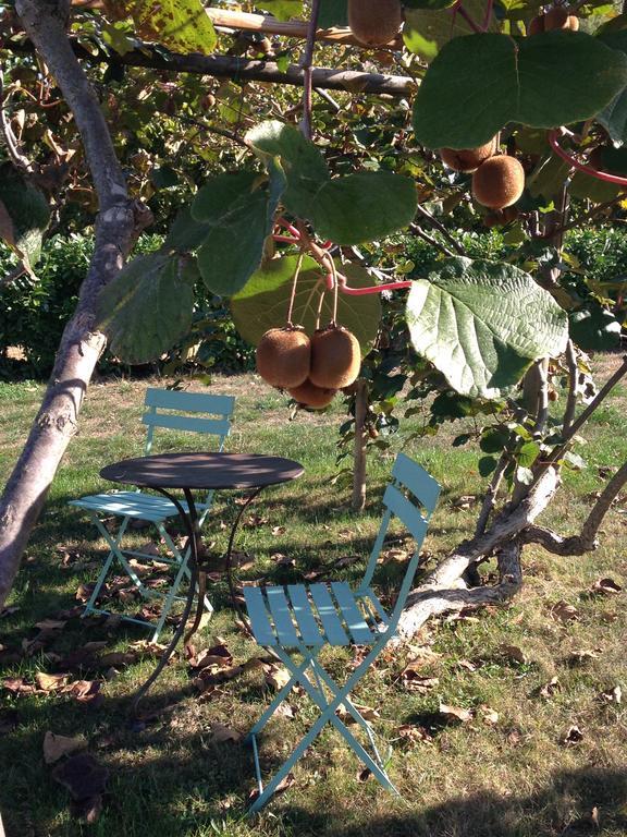 B&B Il Sogno Cossano Belbo Kültér fotó