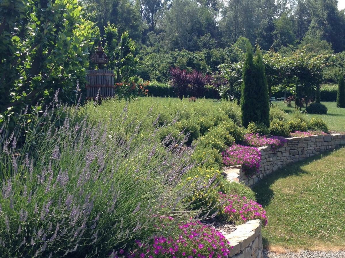 B&B Il Sogno Cossano Belbo Kültér fotó